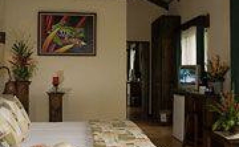 Hotel Arenal (volcan)