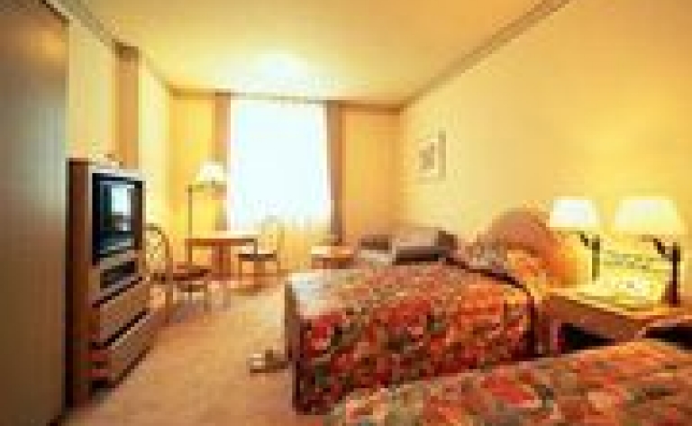 Hotel Hakone