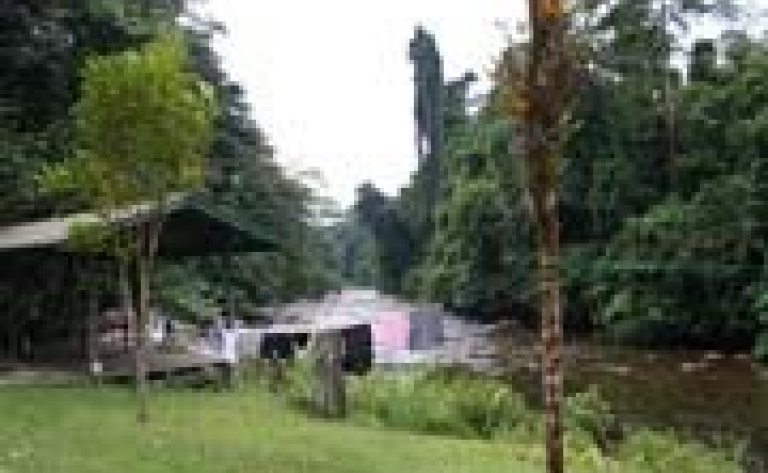 Hotel Mulu Kuching National Park