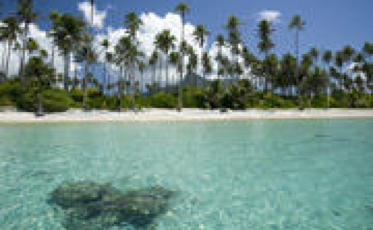 Hotel Raiatea
