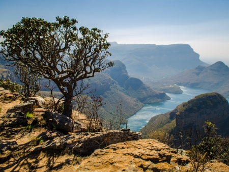 Bienvenue en Afrique du Sud !