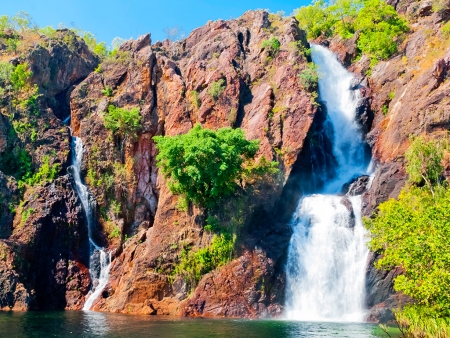 L’oasis de Litchfield National Park