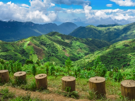 Début du trek entre Kalaw et Inle