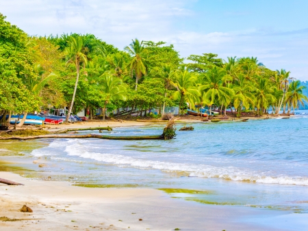 Douceur caribéenne