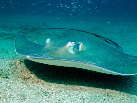 Réserve Naturelle Isla del Caño