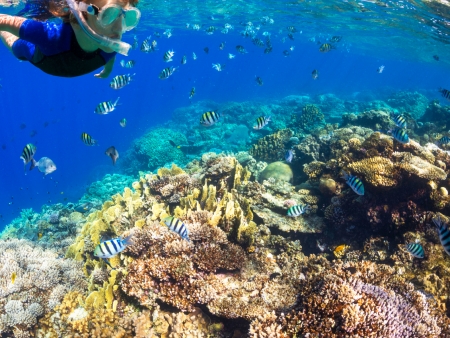 Réserve Naturelle Isla del Caño