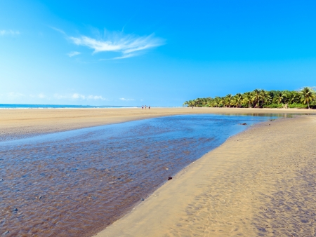 Plage, surf et farniente sur la Costa Ballena…