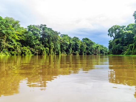 Tortuguero, petite Amazonie du Costa Rica