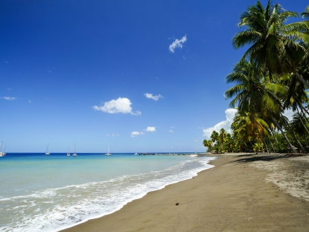 Côte nord Caraïbe et plages de sable noir