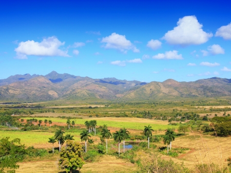 Valle de Los Ingenios
