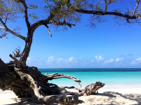 En route vers l’une des plus belles plages de Cuba : Guardalavaca