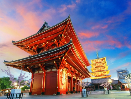 Bienvenue à Tokyo !