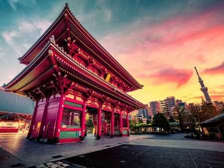 Tokyo : Capitale asiatique bouillonnante !