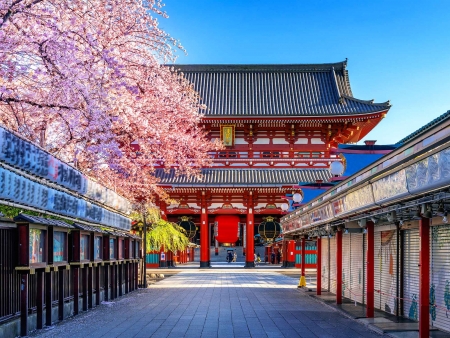 Tokyo, où modernité et histoire s’emmêlent !