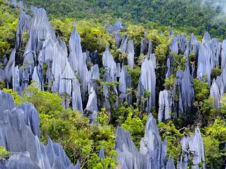 Pics de calcaires et forêt mystérieuse