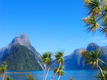 En route pour les fjords du bout du monde