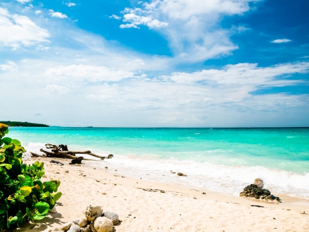 Eaux turquoise de l'île de Baru