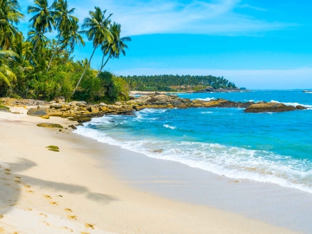 Safari et plages