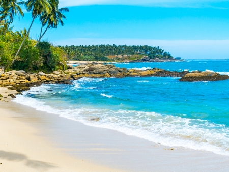 Safari à Uda Walawe et plages du sud