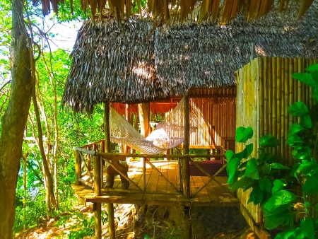 Une plongée dans la luxuriance de Khao Sok