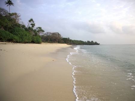 Arrivée sur les plages de l’Océan Indien