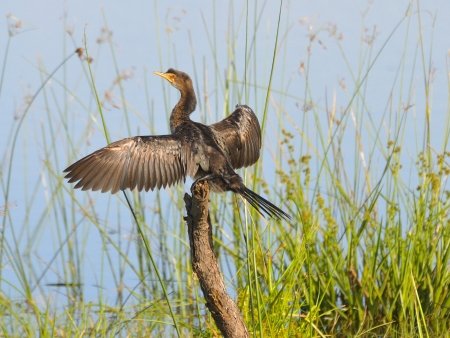 Un paradis pour les amoureux de la nature