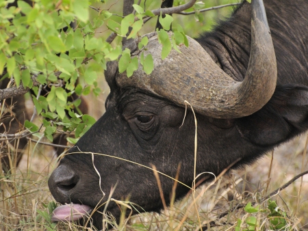 Route pour le Mlilwane Wildlife Sanctuary