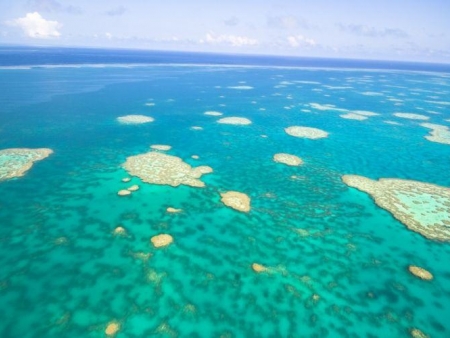 Journée libre de découverte de Cairns et sa région