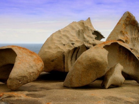 Visite de Kangaroo Island : journée libre