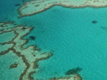 Croisière sur la Grande Barrière de Corail