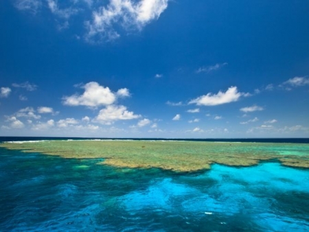 Croisière sur la Grande Barrière de Corail