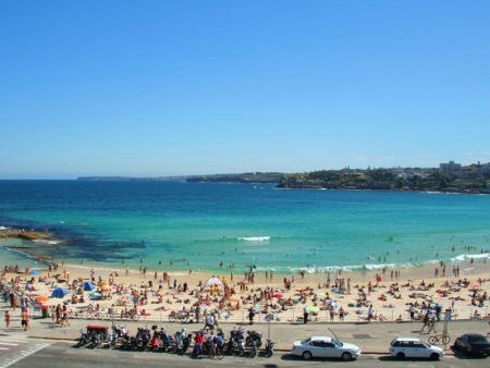 A la découverte des forêts luxuriantes et des plages paradisiaques