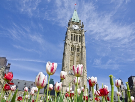 Bonjour Ottawa