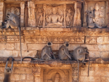 Visite de Chittorgarh