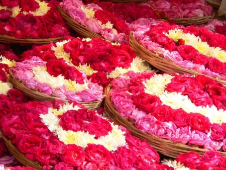 Découverte de Madurai