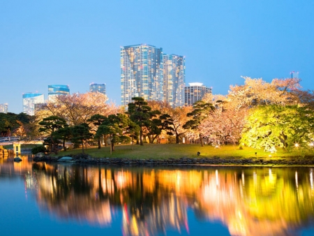 Découverte de Tokyo
