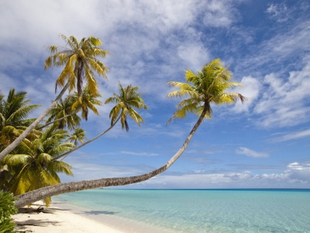 Dernière escale tropicale