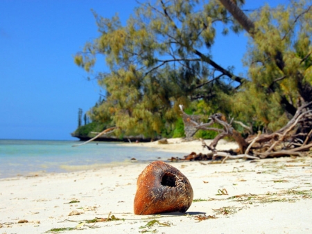 Plages paradisiaques et lagons translucides