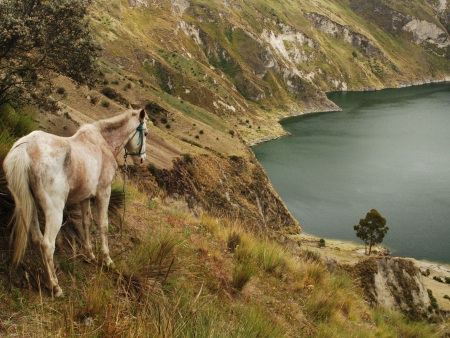 Le plus haut volcan d’Equateur !