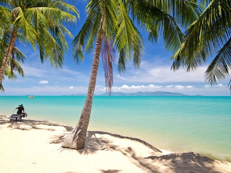 Bienvenue à Koh Samui !