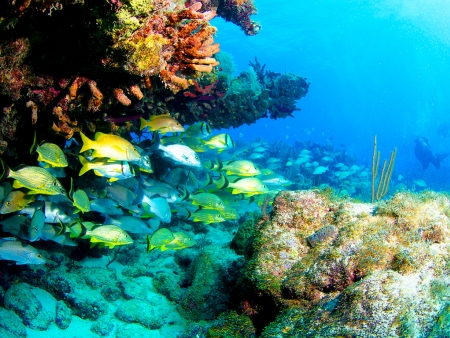 Key Largo