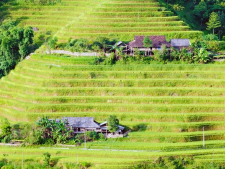 Au cœur de la Province de Ha Giang