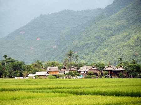 La vallée de Mai Chau