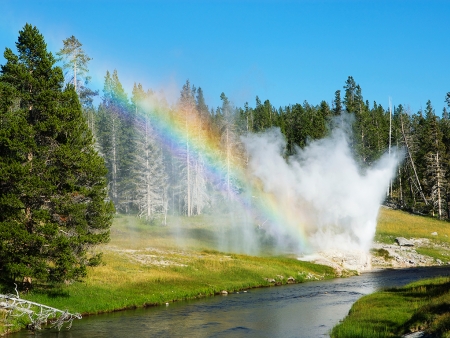 Parc National de Yellowstone