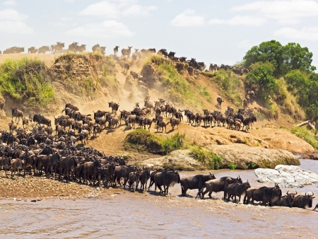 Deuxième journée dans le Serengeti
