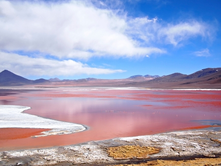Geysers, lagunes colorées et le stupéfiant cimetière des trains