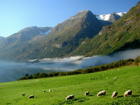 A travers le Sognefjord et le Nordfjord