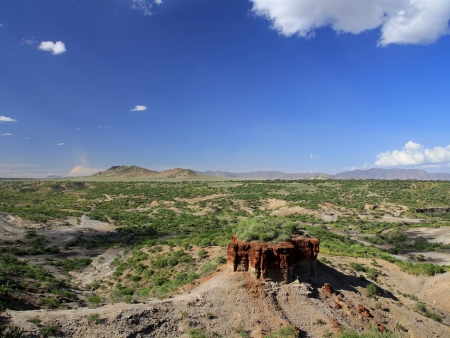 Safari en terre Masaï