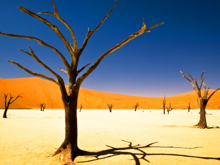 Spectaculaires dunes rougeoyantes de Sossusvlei (240km)
