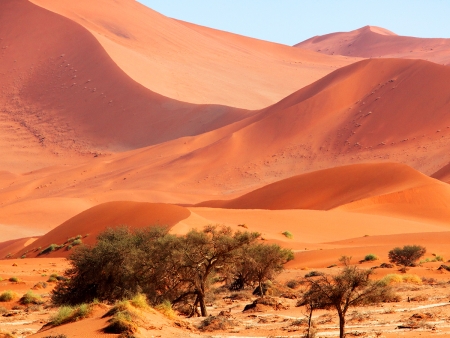 Immersion dans le Désert du Namib (239 km)